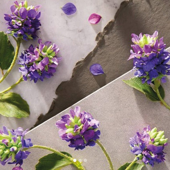 Il Bakuchiol: mai più senza - Eterea Cosmesi Naturale